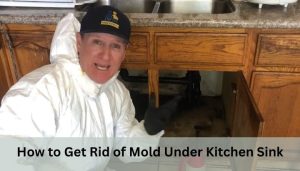 How to Get Rid of Mold Under Kitchen Sink